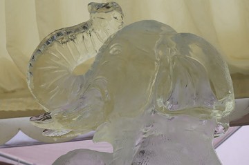 Elephant Ice Sculpture